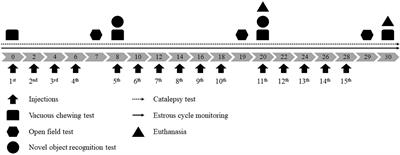 Female Rats Are Resistant to Cognitive, Motor and Dopaminergic Deficits in the Reserpine-Induced Progressive Model of Parkinson’s Disease